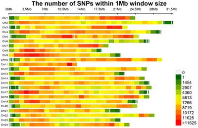 Integrative GWAS and eQTL analysis identifies genes associated with resistance to Vibrio harveyi infection in yellow drum (Nibea albiflora)